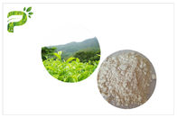 المضادة للأكسدة EGCG مستخلص الشاي الأخضر ، والمستحضرات الصيدلانية الصف الطبيعية مستخلص الشاي الأخضر