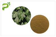 هيديرا هيليكس هيديراكوسيد ، مستخلصات نباتية ، أوراق اللبلاب