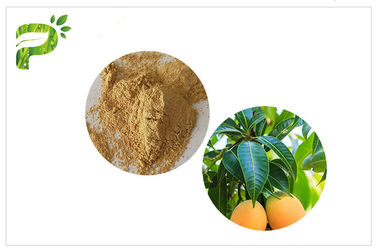 المستخلصات النباتية المضادة للميكروبات Mangiferin Mango Leaf Powder CAS 4773 96 0