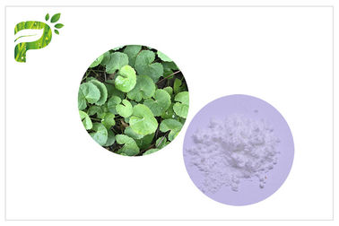 Acne Gotu Kola Powder Titrated Extract Of Centella Asiatica Anti Inflammatory Function