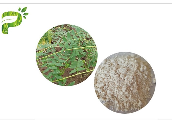 CAS 84687 43 4 Astragalus Membranaceus Extract Astragaloside IV 98٪ Anti Aging