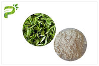 المضادة - تسوس الطبيعية المكملات الغذائية ، معجون الأسنان EGCG مستخلص الشاي الأخضر CAS 989 51 5