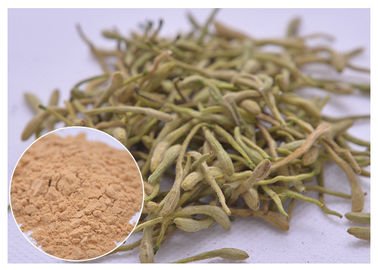 5 ٪، 25 ٪ Lonicera japonica استخراج مسحوق زهرة العسل