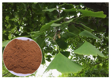 مستخلصات نباتية طبيعية منع أمراض القلب والأوعية الدموية الجنكه بيلوبا ليف استخراج ep الصف
