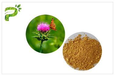 استخراج مسحوق مستخلص نبات أصفر الخوخ استخراج المواد الطبيعية حليب الشوك لطب الكبد