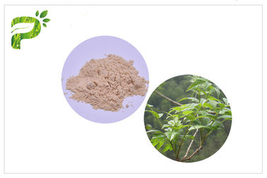Ampelopsis Grossedentata استخراج Dihydromyricetin / DHM لمتلازمة هانجوفر CAS 27200 12 0